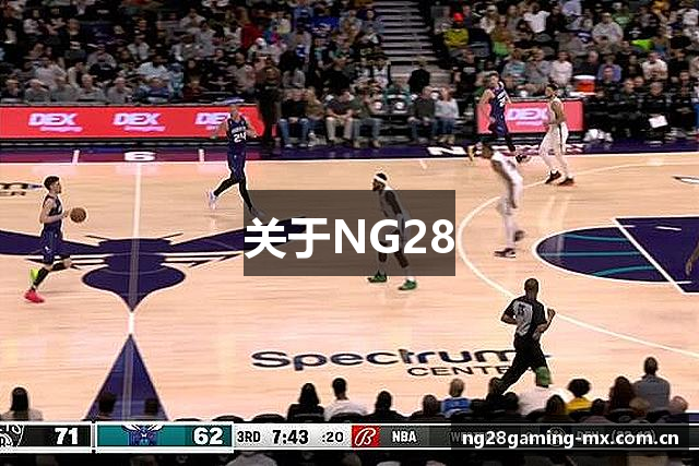 关于NG28